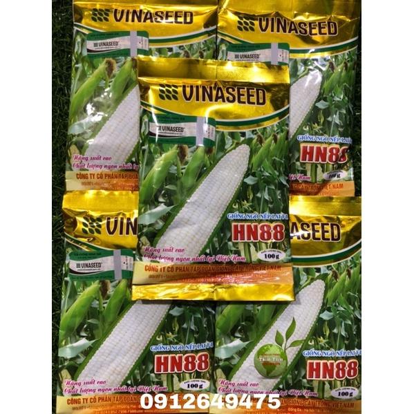 HẠT GIỐNG NGÔ NẾP LAI F1 HN88-Hàng chất lượng cao