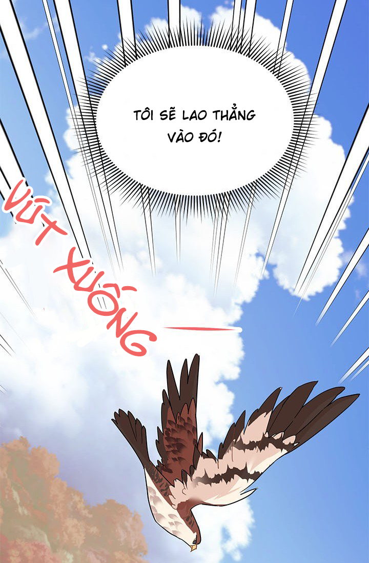 công chúa của loài chim chapter 14 45