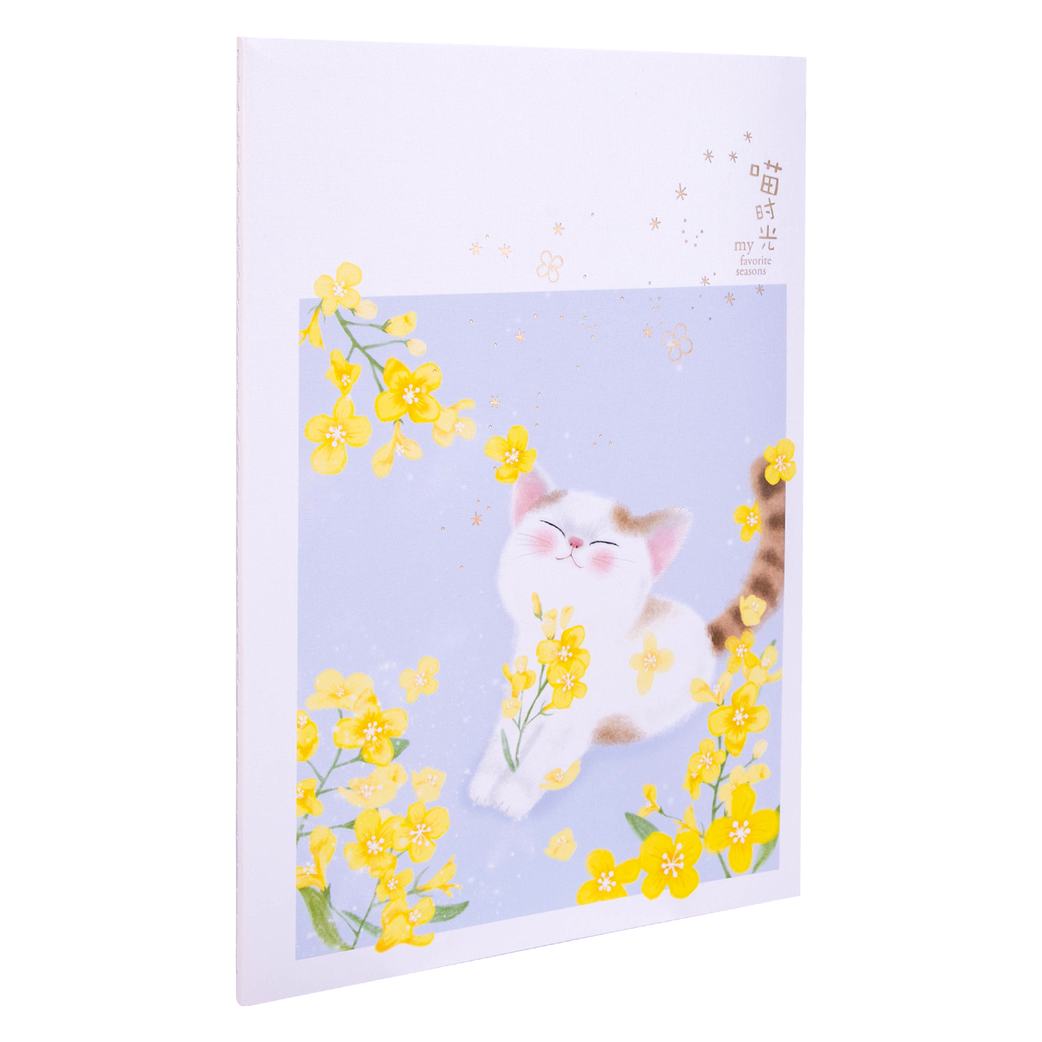 Sổ Tay Ghi Chép Khâu Gáy B5 Deli 40 Trang - 1 Quyển - FB540 - Màu Ngẫu Nhiên