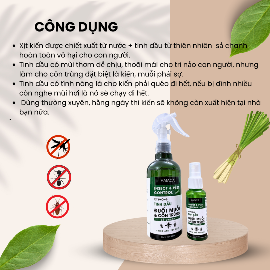 Bình xịt kiến Hataca 100% thiên nhiên-an toàn cho gia đình