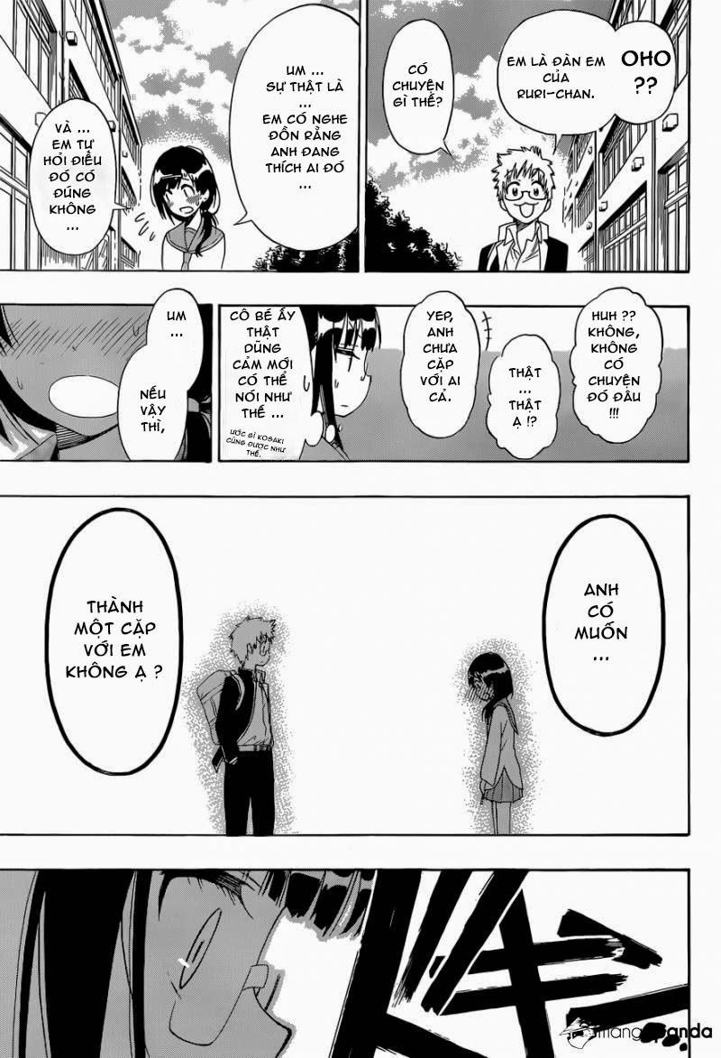 nisekoi - tình yêu giả tạo chapter 141 13