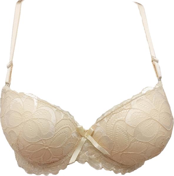 ÁO LÓT ren hoa cao cấp nâng ngực mút dày đệm thấm hút mã EC215