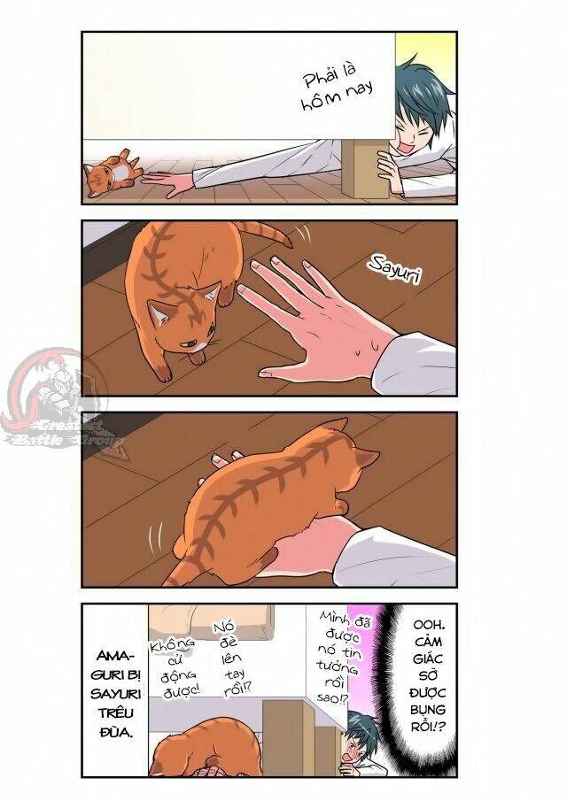 cat is silver vine chapter 28 7