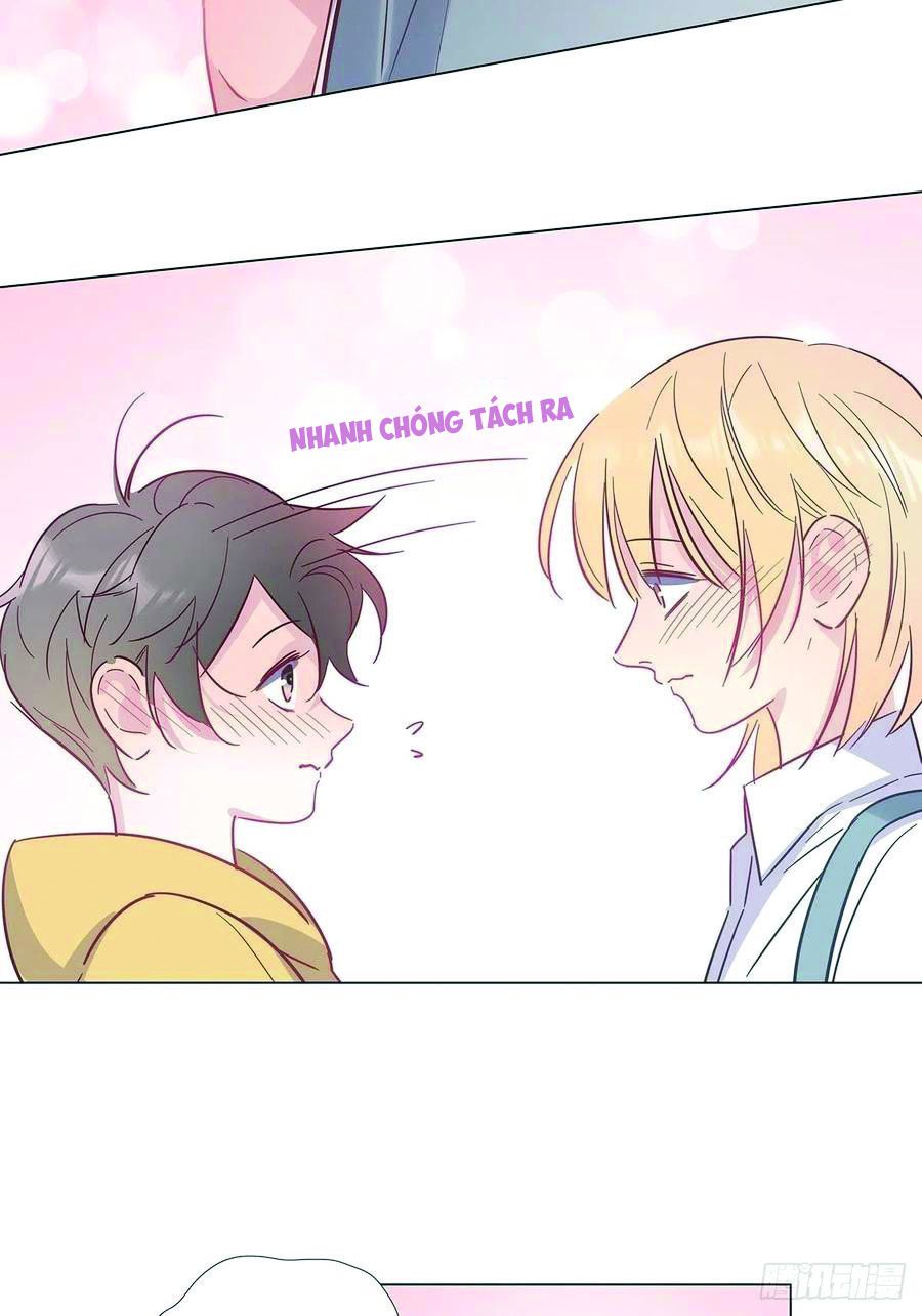 hôm nay nam giả trang nữ vẫn chưa được cầu hôn! chapter 81.5 28