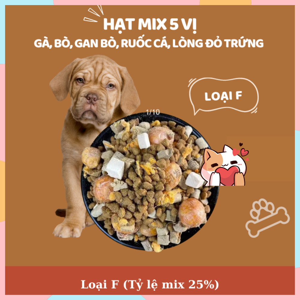 Hạt mix cao cấp cho cún trộn thịt bò, gà, tôm, cá, lòng đỏ trứng, rau củ quả - Thức ăn hạt cho chó kén ăn