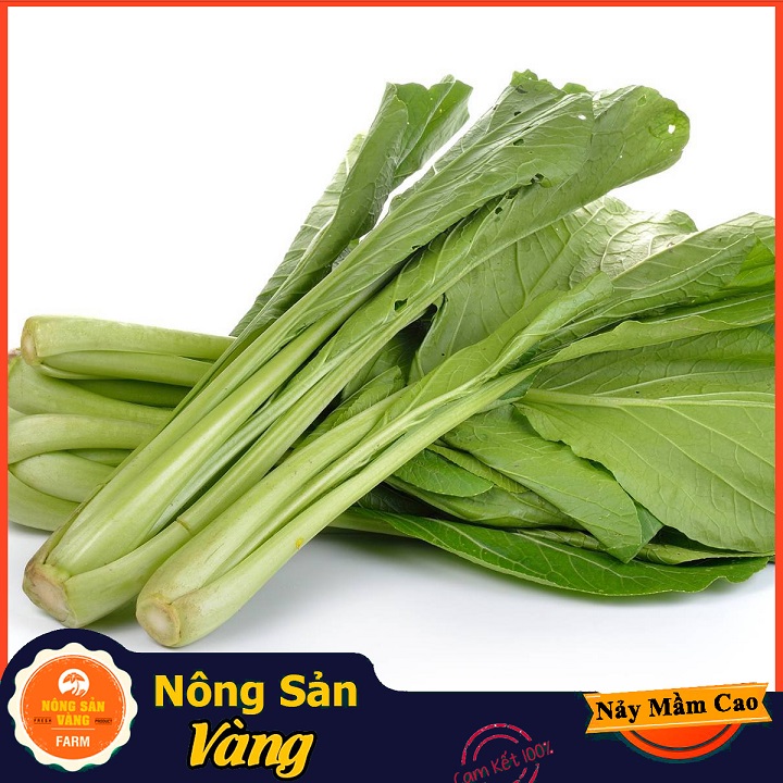 Hạt giống Cải Bẹ Xanh Mỡ Cao Sản ( Gói 20 Gram ) - Nông Sản Vàng