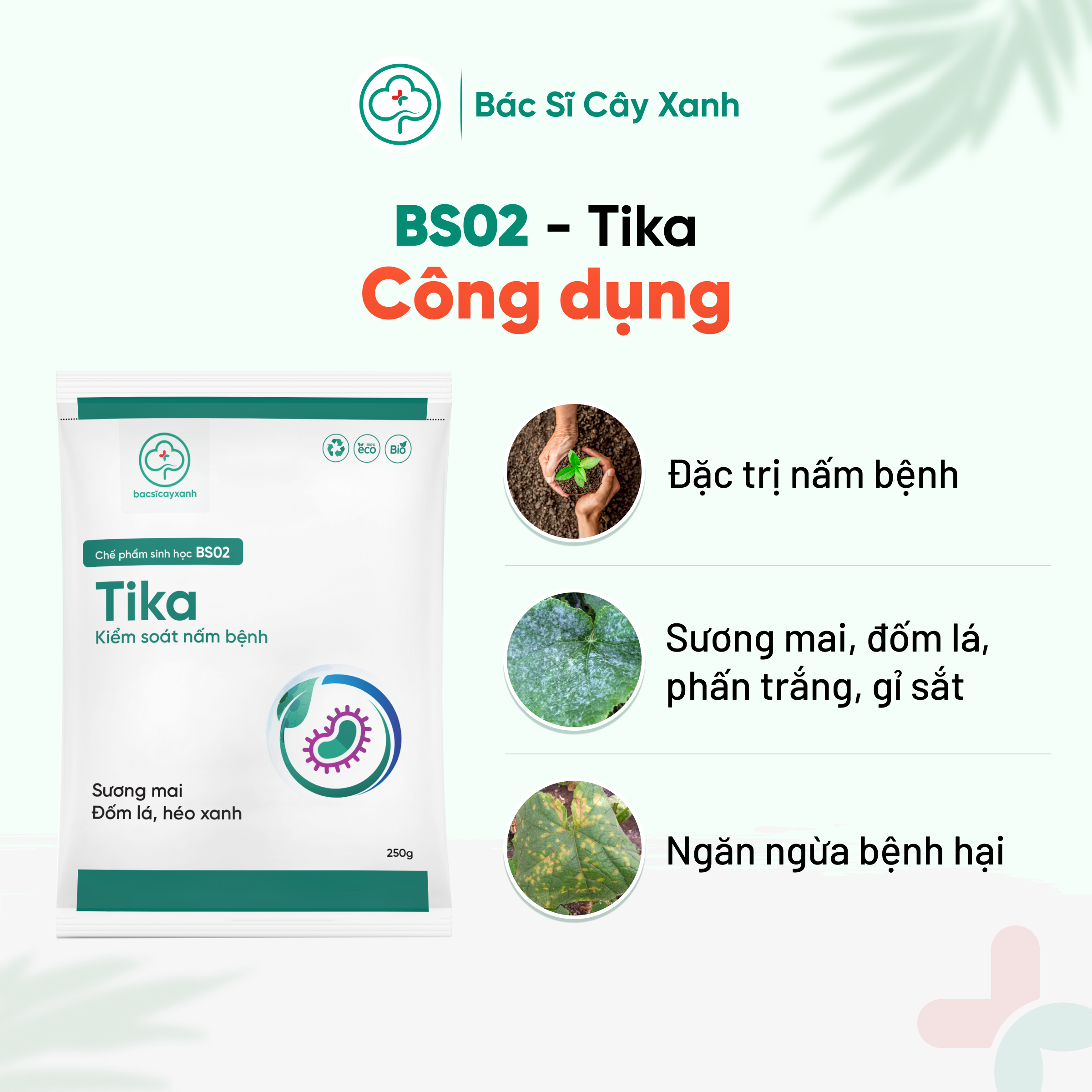 Chế phẩm trị sương mai, đốm lá, chết cây con, gỉ sắt, phòng trừ nấm bệnh sinh học BS02 Tika 100/250g NSX Bacsicayxanh