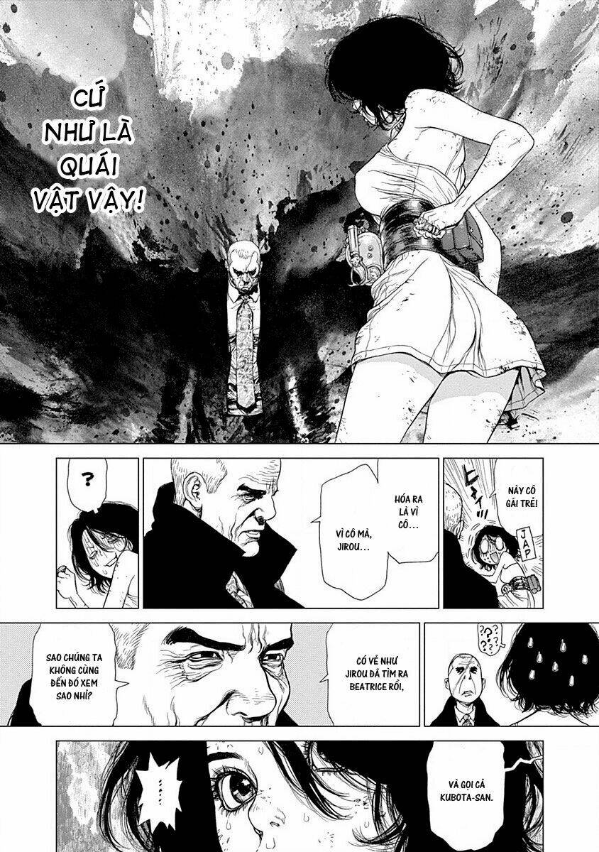 wallman chapter 22 24