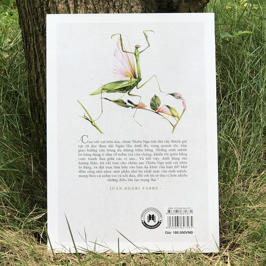 Côn Trùng Ký Của Fabre