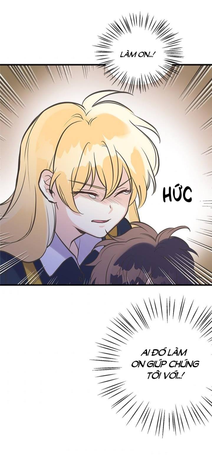 chị tôi đã nhặt về một nam chính quyến rũ chapter 22 24