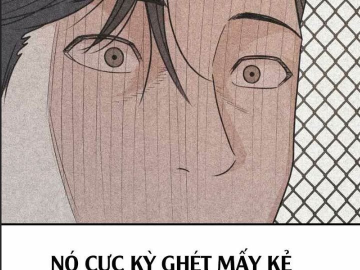 bạn trai võ sĩ chapter 84 68