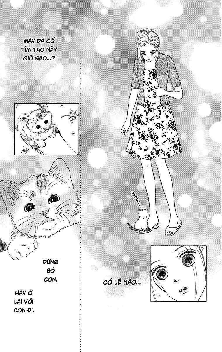 cuộc sống thường nhật của mèo zaccho chapter 1.5 29