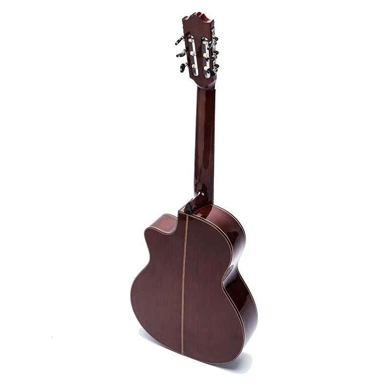 Guitar Classic DC250
