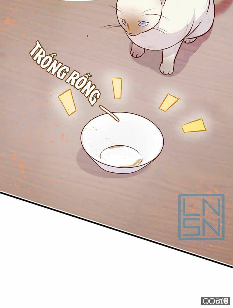 boss lãnh khốc buông em ra chapter 7 26