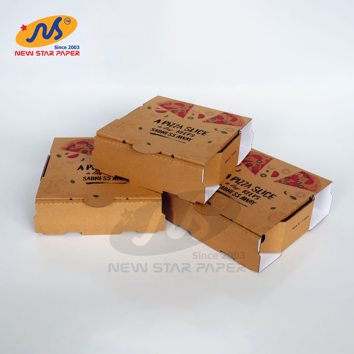 Hộp carton đựng bánh Pizza 17x17x5