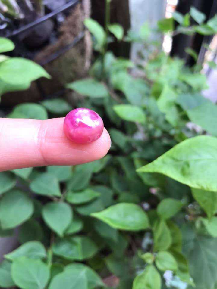 VIÊN ĐÁ RUBBY HỒNG TRÒN ĐẸP NHƯ BÔNG HOA PHÍA TRÊN VIÊN ĐÁ TRÒN DẦY ĐẸP LẮM LUÔN LÀM MẶT NHẪN DÂY CHUYỀN Size DÀI 12mm X NGANG 11mm x DẦY 7mm