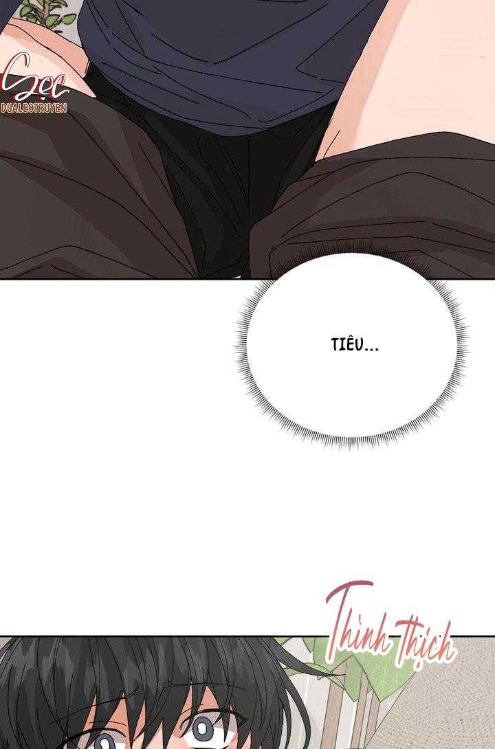 đặc quyền cho cặp đôi mới cưới Chapter 25 ss2 34