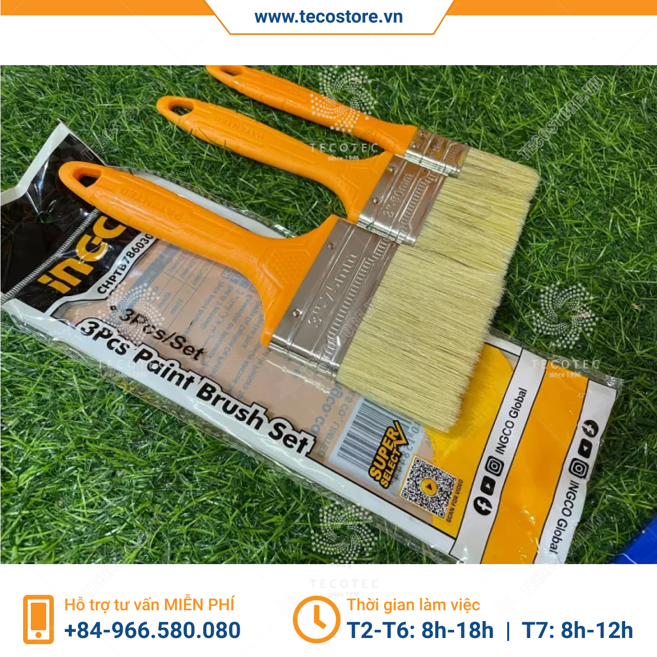 Bộ 3 chổi cọ sơn INGCO CHPTB7860301