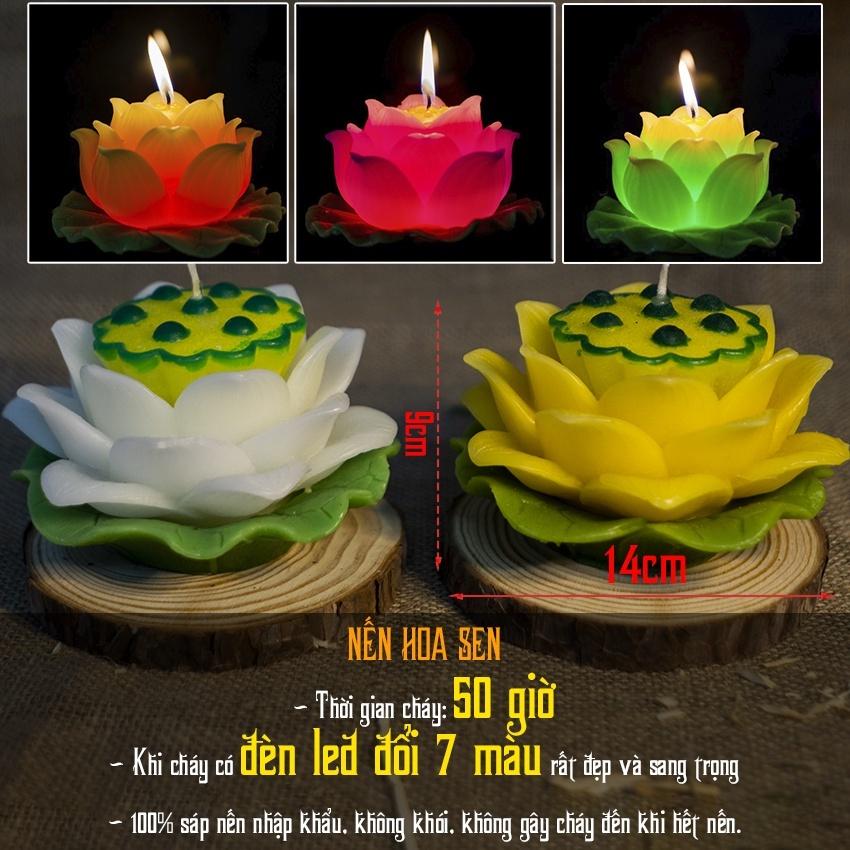 Nến hoa sen lớn (50 giờ) - nến hoa sen thờ phật (có đèn led 7 màu) - nến bông sen trang trí cao cấp candle shop