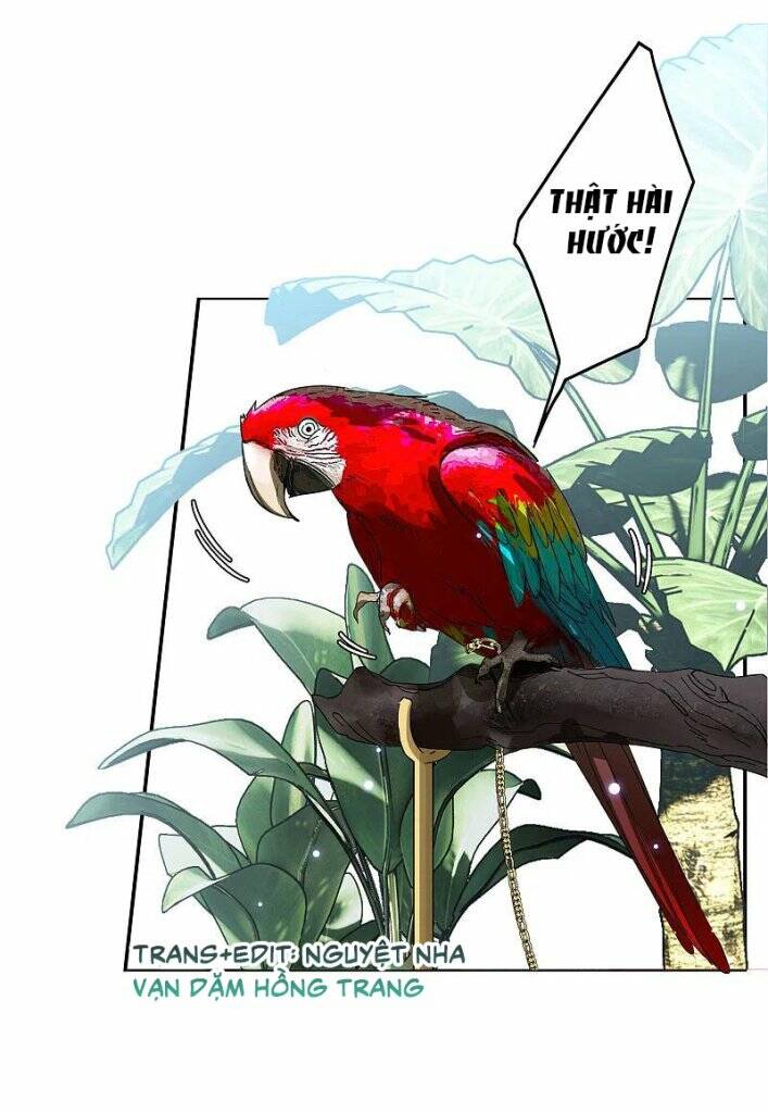 cô ấy đến rồi, xin nằm xuống! chapter 149 8