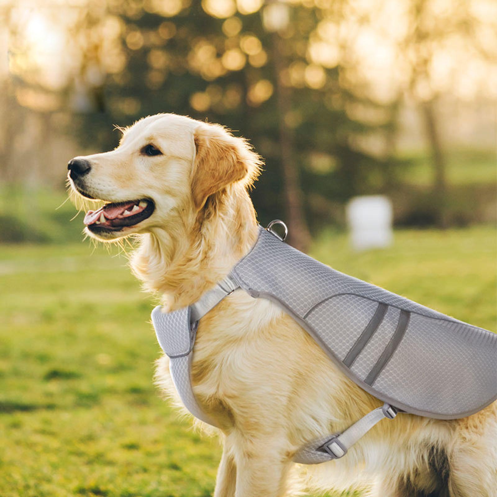 Dog Cooling Vest Harness Reflective Adjustable for Hunting Training upplies S