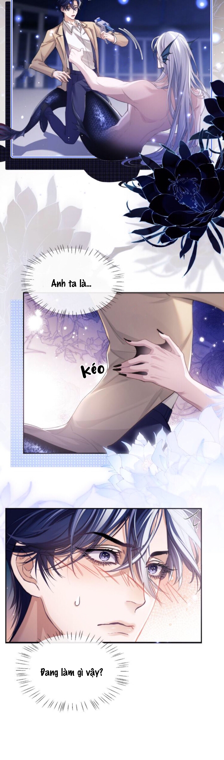 nhân ngư dessaro chapter 3 23