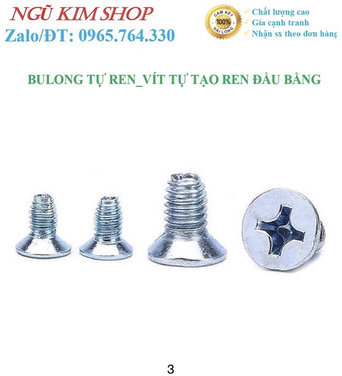 BULONG TỰ REN _ VÍT TỰ TẠO REN ĐẦU BẰNG