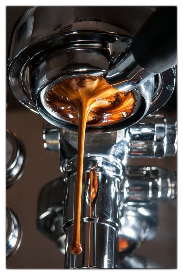 Cà phê (cafe) nguyên chất Balance hữu cơ 100% berry culi chuyên dùng pha máy espresso - Vanbina Coffee Single origin ( Dạng bột )
