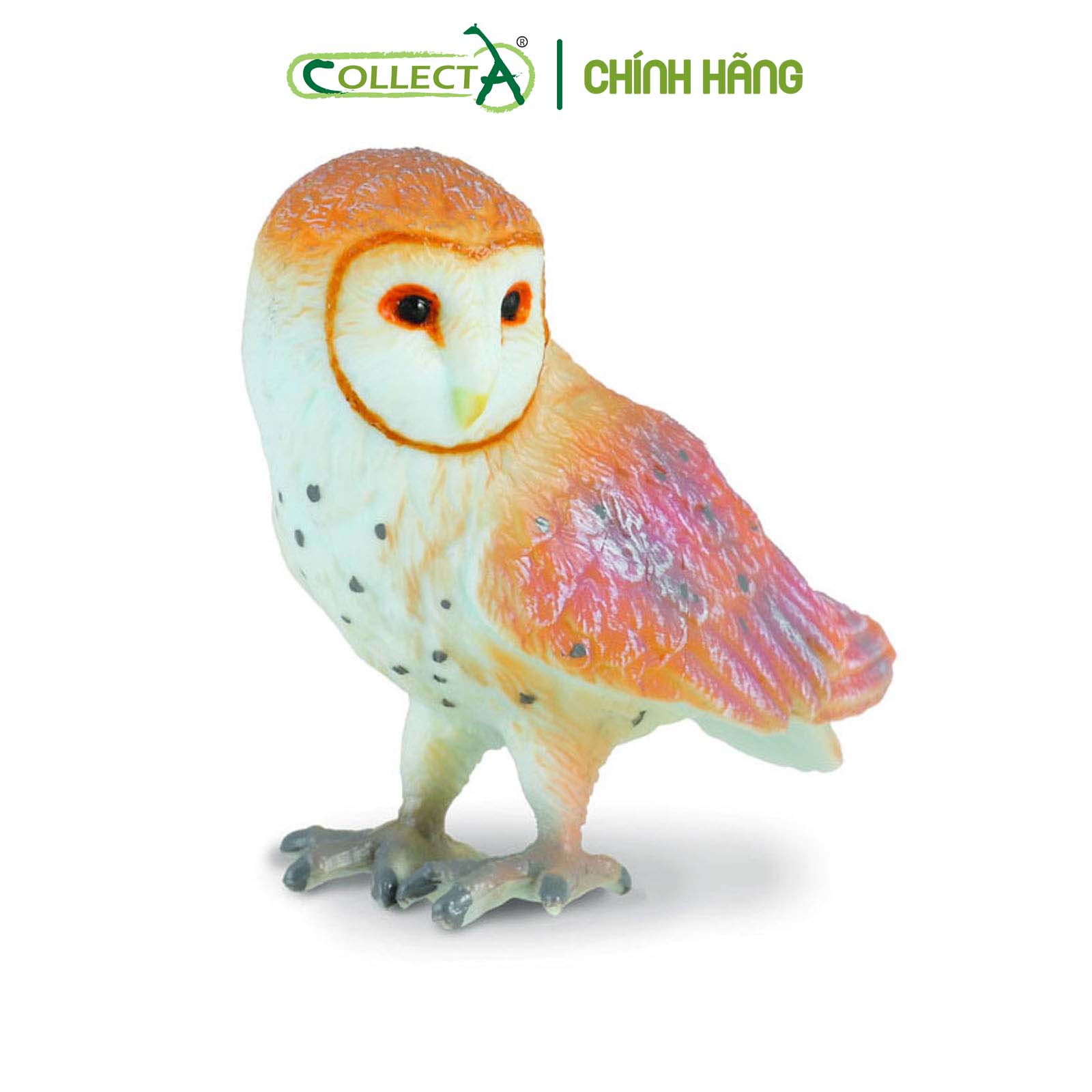 Mô hình thu nhỏ: Cú Lợn Lưng Xám - Barn Owl, hiệu: CollectA, mã HS 9651380 - Chất liệu an toàn cho trẻ - Hàng chính hãng