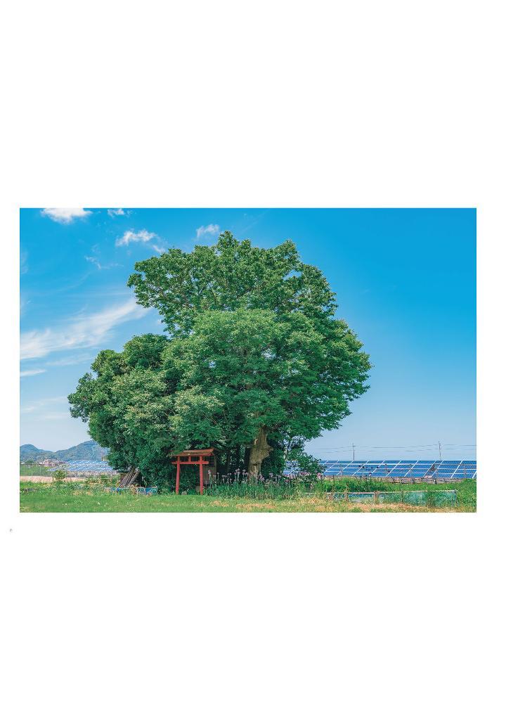 Sách ngoại văn: Akine Coco 写真作品集 アニメのワンシーンのように。- Akine Coco Photograph Collection Like A Scene From An Anime