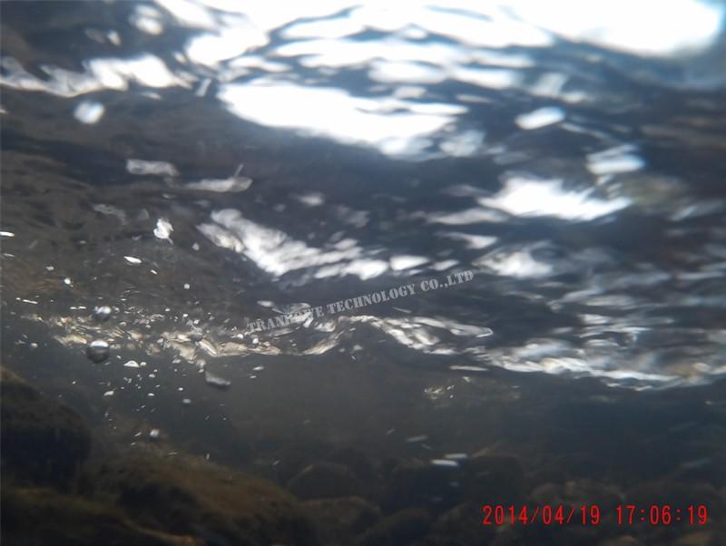 Miễn phí vận chuyển!!