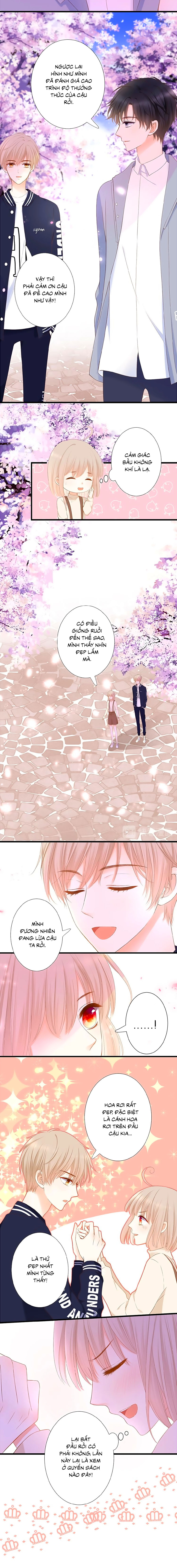 đóa hoa chớm nở chapter 19 6