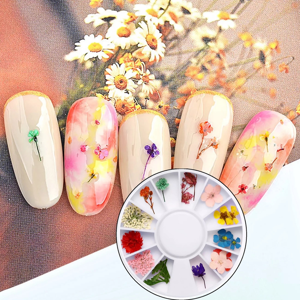 Set Hoa Khô Trang Trí Nail Hỗn Hợp Khay Tròn Đa Dạng Kiểu Dáng kích thước, Đính, Có Thể Phối Nhiều Phong Cách Ý Tưởng Khác Nhau