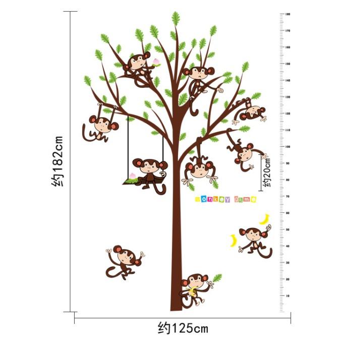 Decal dán tường thước đo và chú khỉ