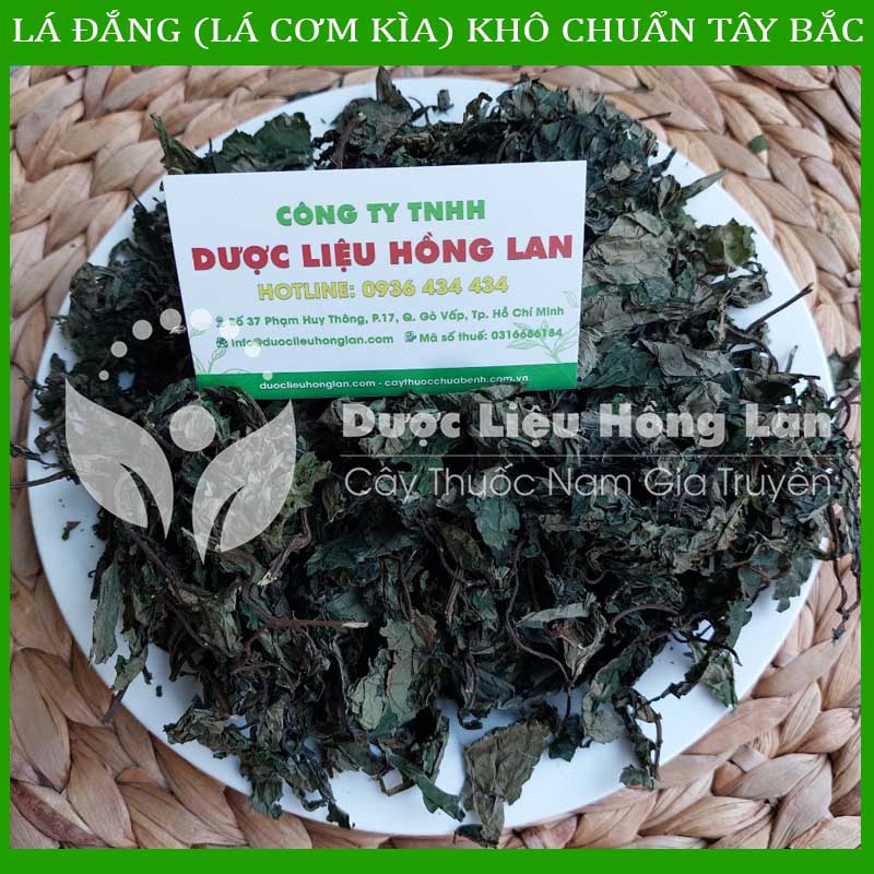 [Thượng hạng] 1KG Lá Đắng (Lá Cơm Kìa) khô chuẩn rừng Tây Bắc