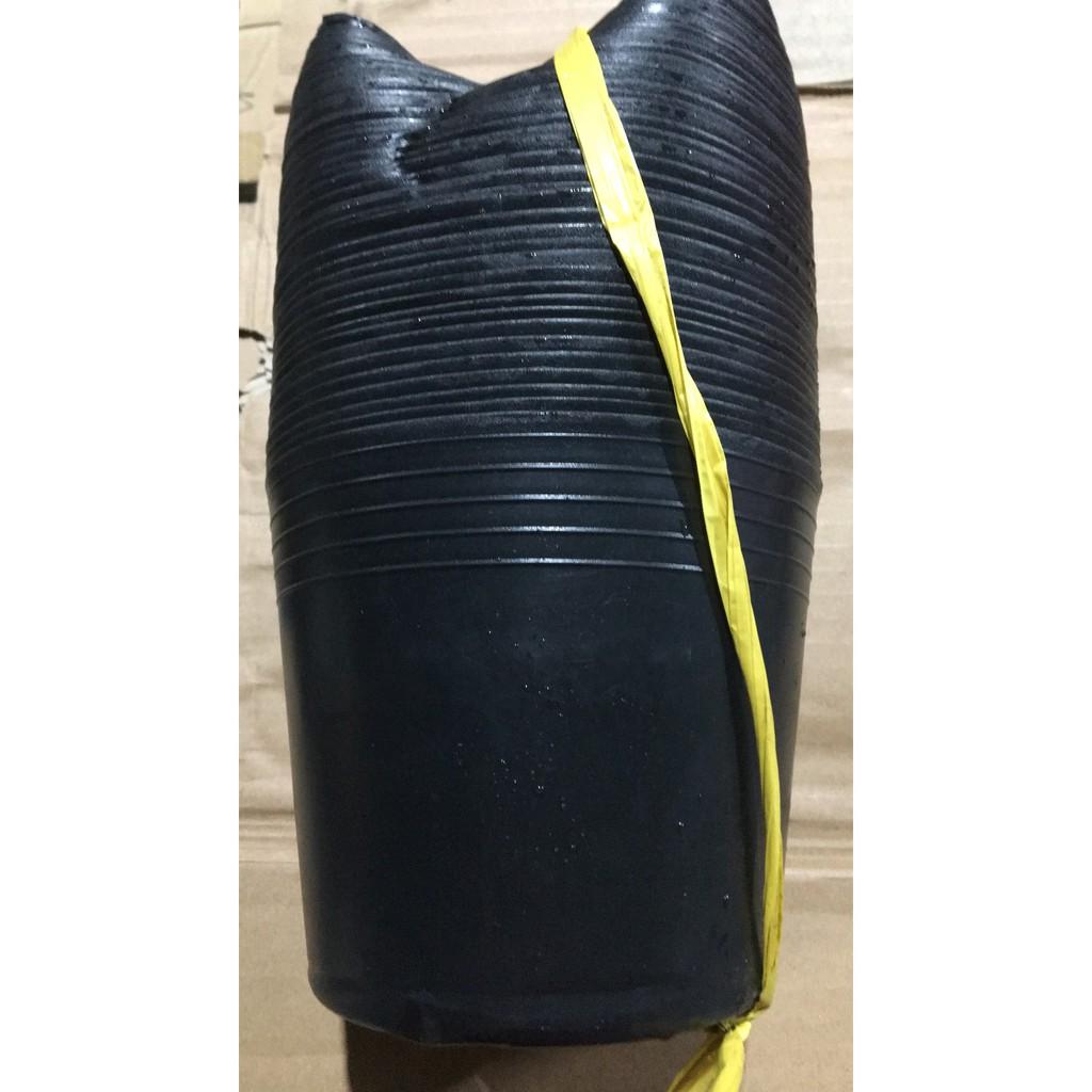COMBO 25 chậu trồng cây
