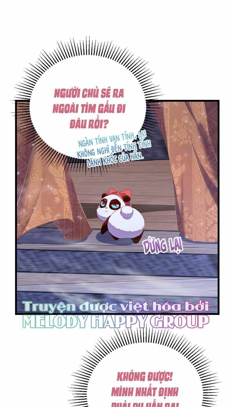 thiên thần gấu trúc muốn được ôm chapter 26 4