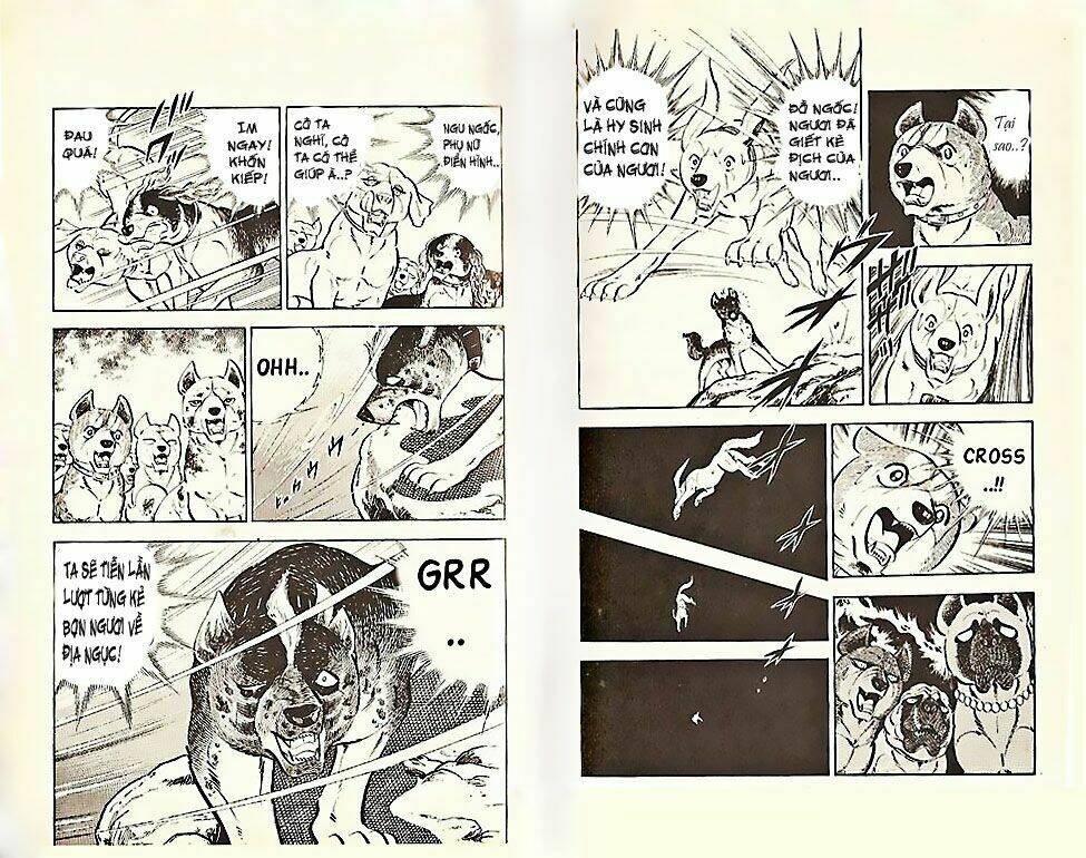 chú chó có nghĩa - ginga nagareboshi gin chapter 21 12