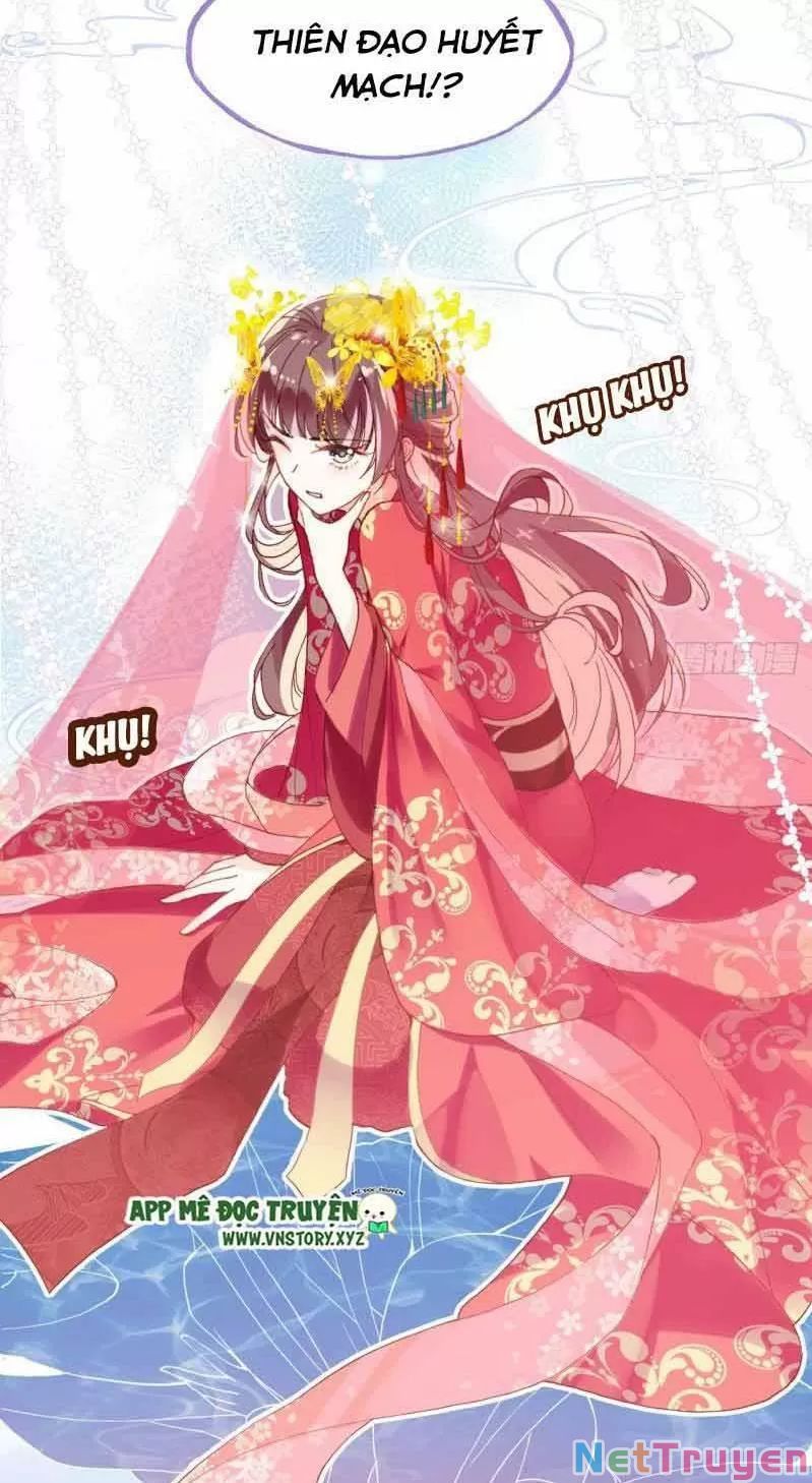 lại bị bệnh chiều chuộng quấn lấy chapter 2 37