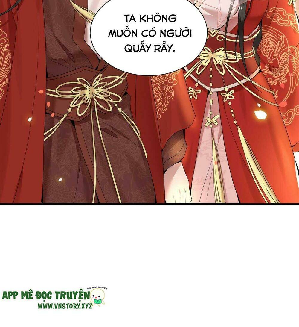 phượng hoàng vu phi chapter 95 35