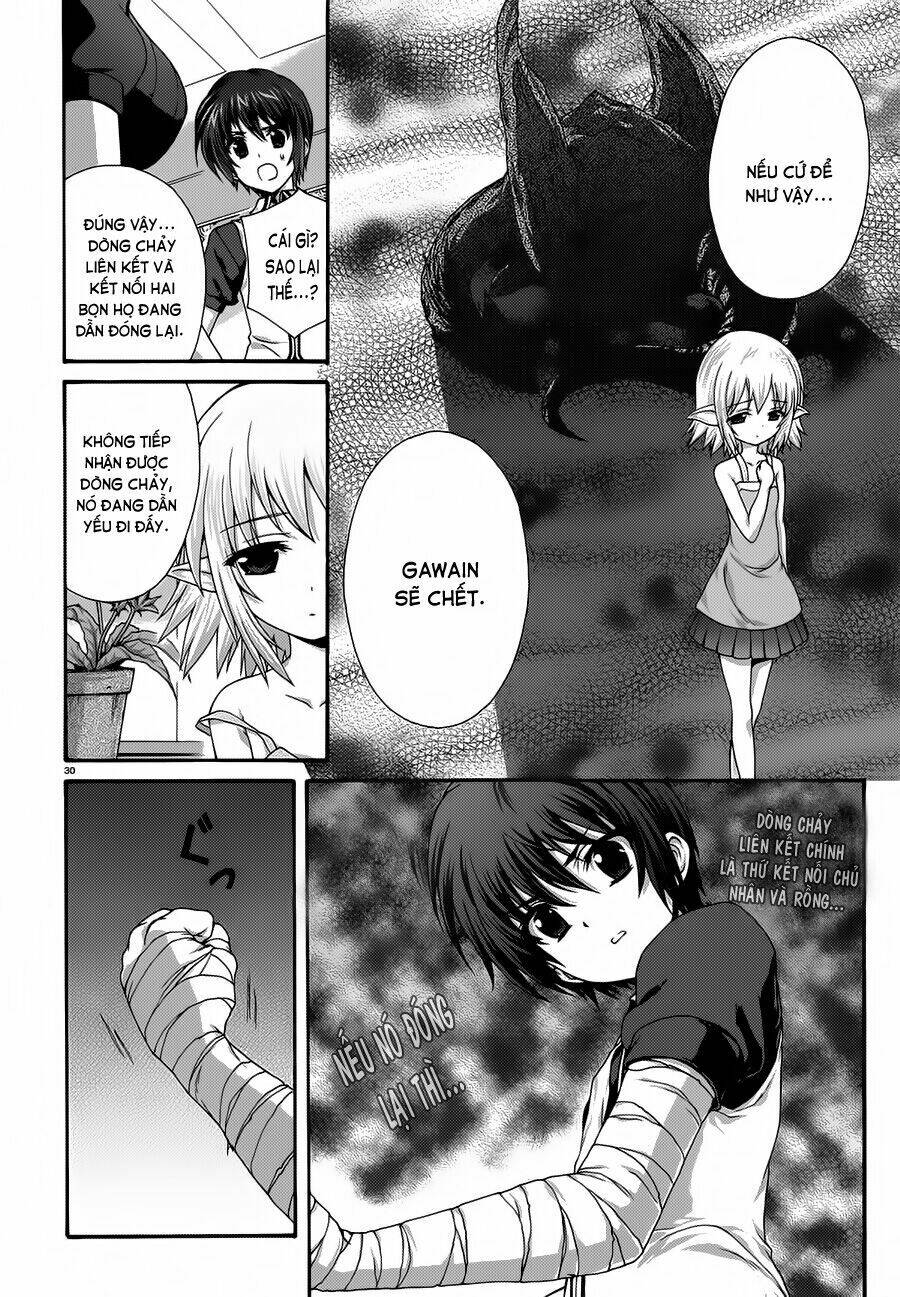 seikoku no dragonar chapter 17 30