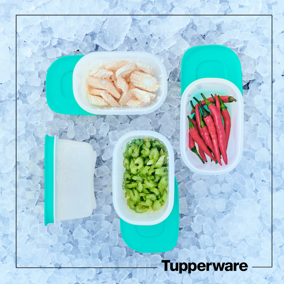 Bộ hộp trữ đông Mini Freezermate Gen II 170ML TUPPERWARE CHÍNH HÃNG
