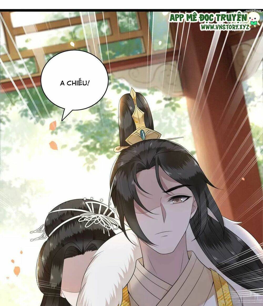 phượng hoàng vu phi chapter 104 15