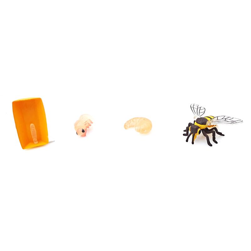Đồ Chơi Mô Hình Vòng Đời Tự Nhiên - Ong Lớn Lên Như Thế Nào? - Firstar DK81258