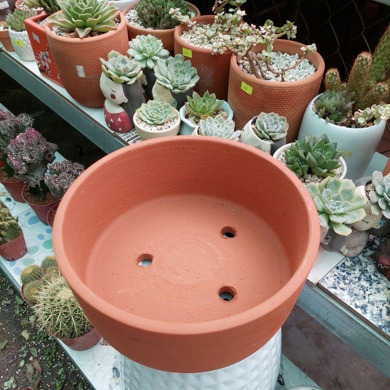 Chậu đất nung Bình Dương, trụ lùn siêu to với đường kính miệng là 25cm, chiều cao là 10cm