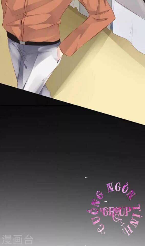 người vợ bí ẩn của tổng tài chapter 21.5 28