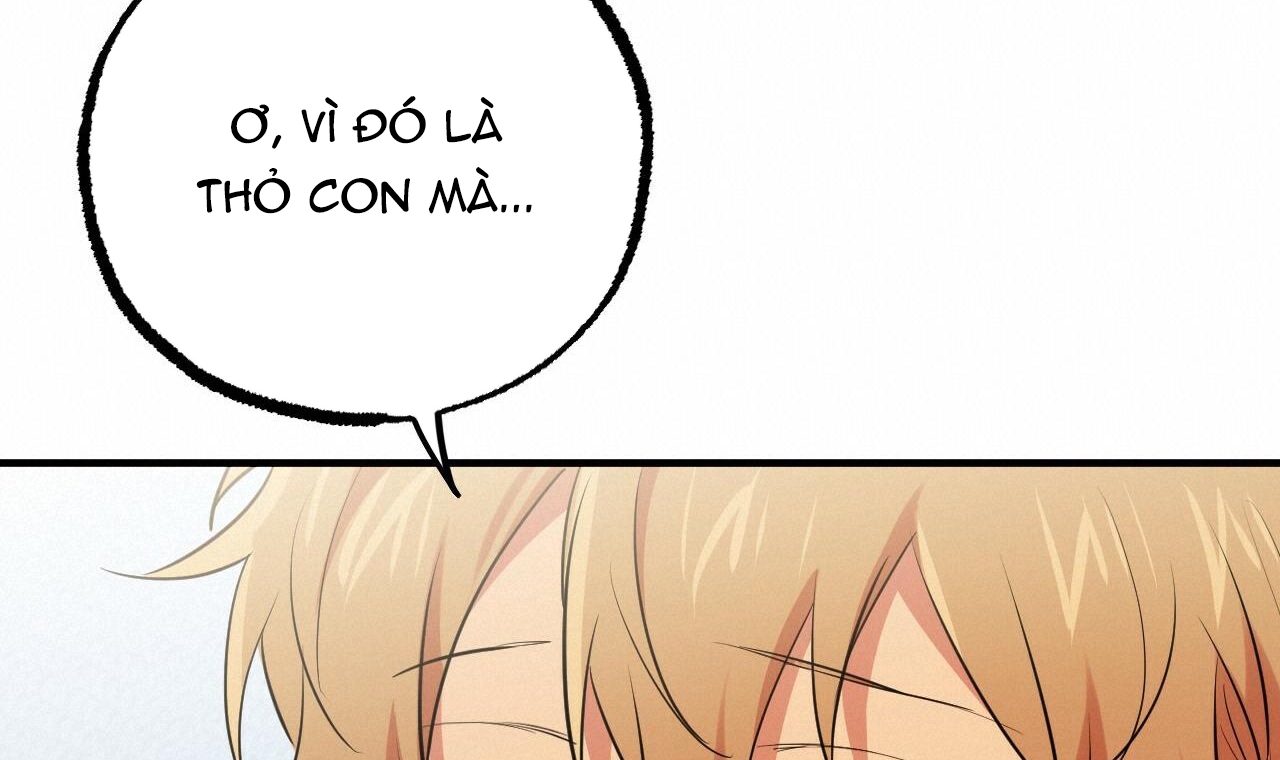 đàn thỏ của habibi chapter 39 222