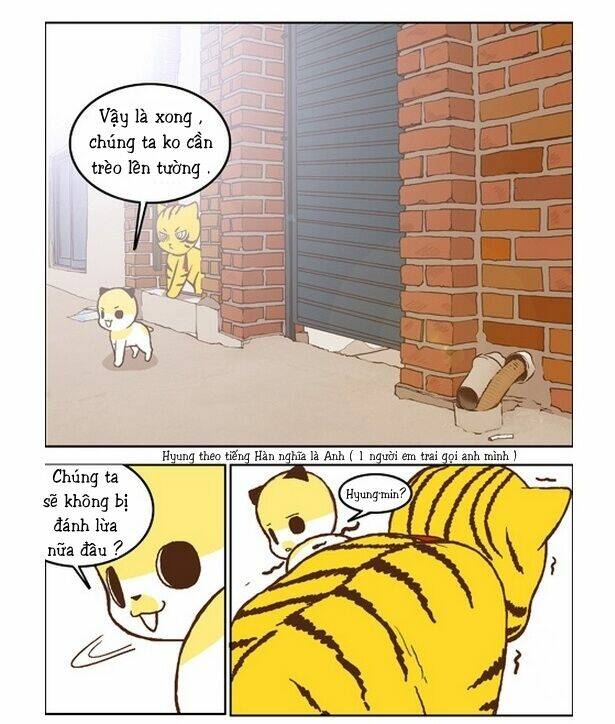 papi nyang chapter 15 4