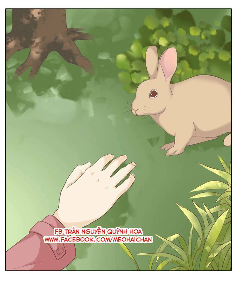 xin chào! dân nữ chapter 29 53