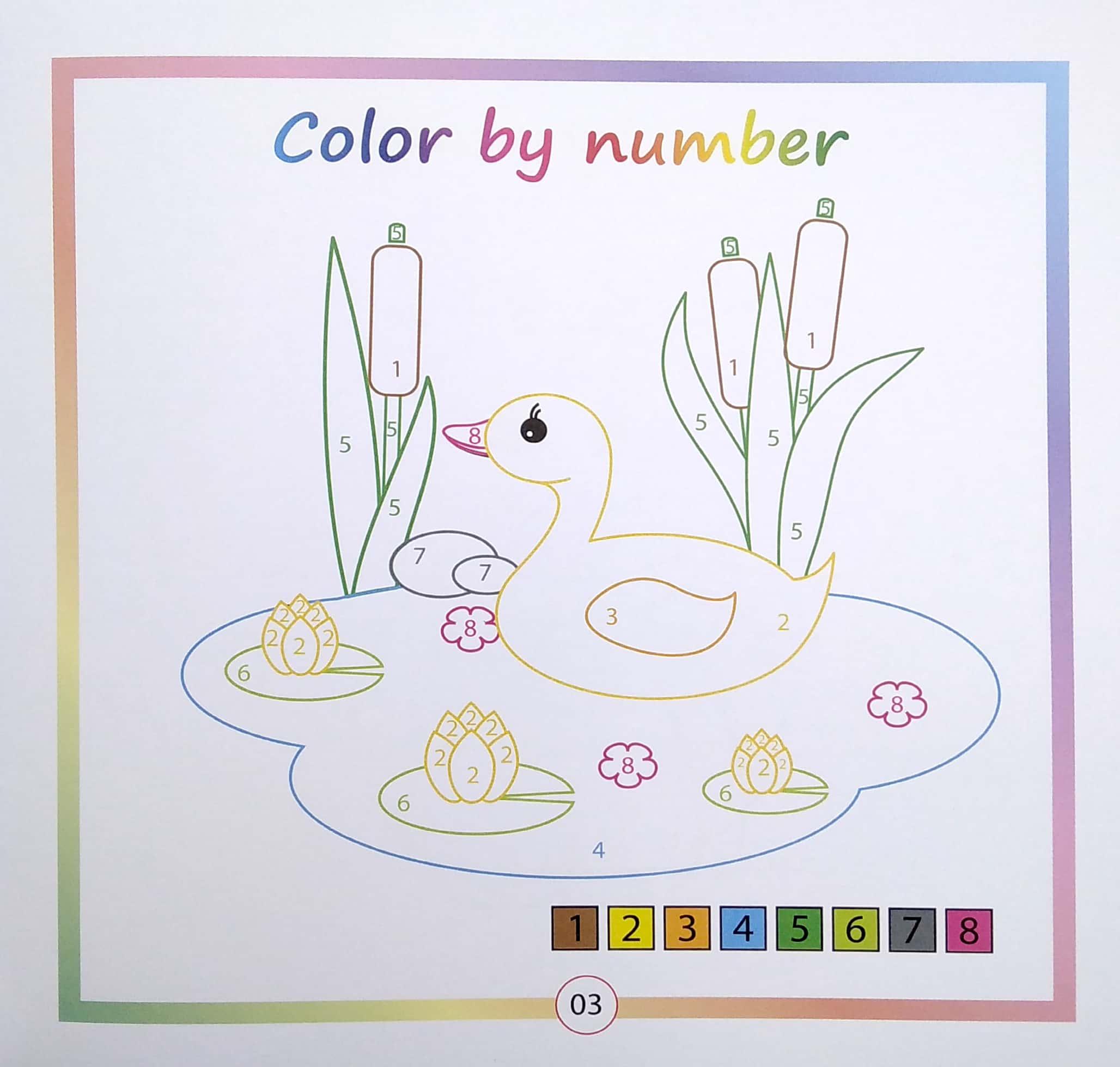 Color By Number - Tô Màu Theo Số -Tập 4